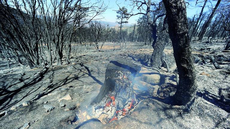 Combate para apagar una a una las brasas de un fuego de 830 hectáreas