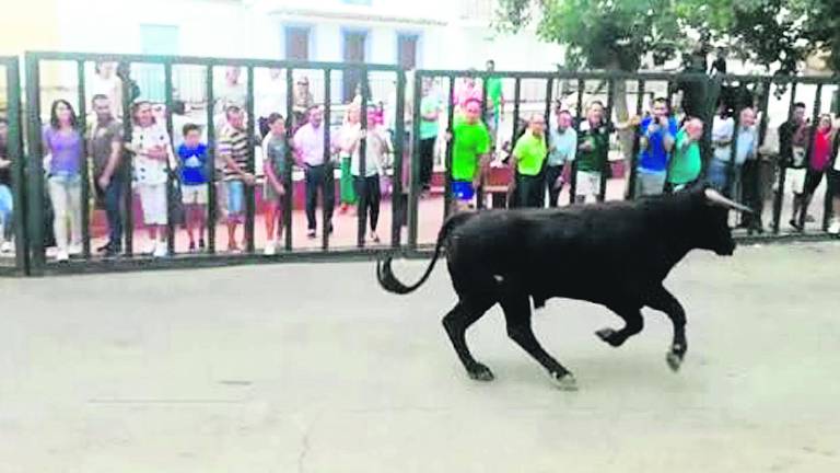 Un broche de lo más taurino Un broche de lo más taurino