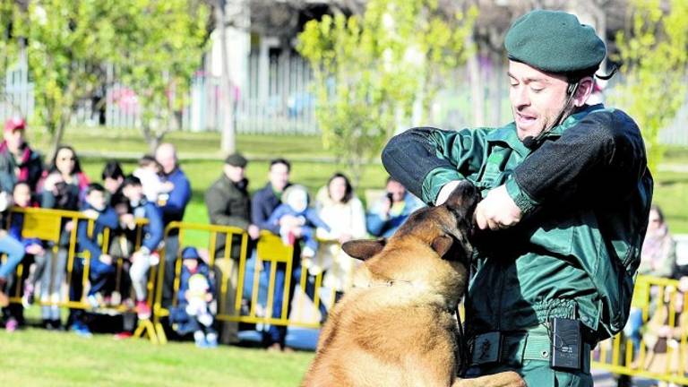 Exhibición canina en el Bulevar