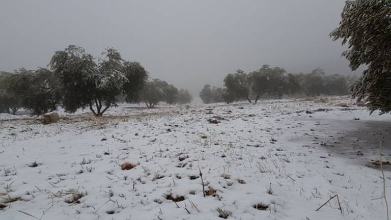 Lluvia y nieve para el fin de semana en Jaén Lluvia y nieve para el fin de semana en Jaén