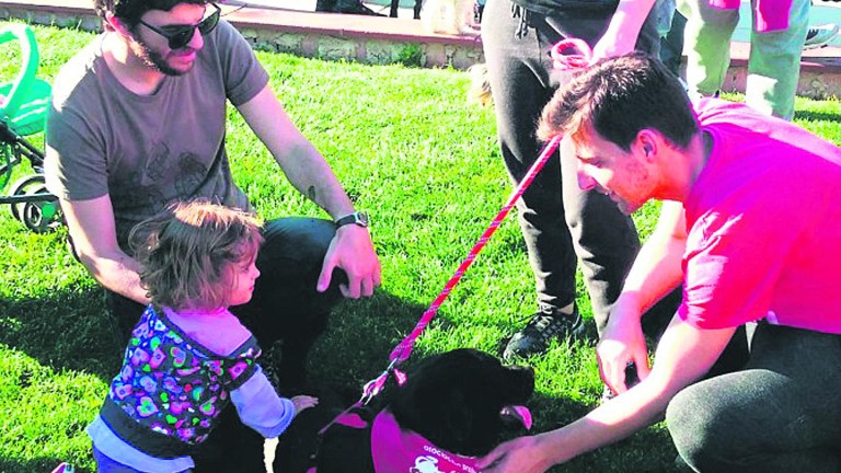 Pacma denuncia casos de perros envenenados