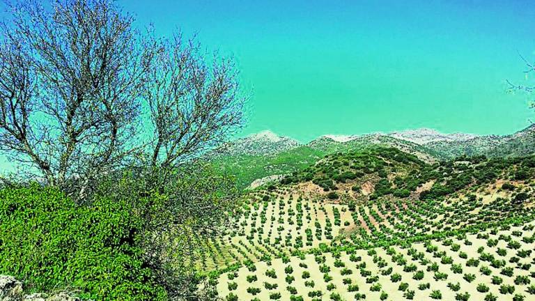 Un paseo por Sierra Mágina gracias a “Destino Andalucía”