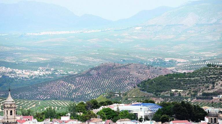 Jaén registrará hoy temperaturas de 31 grados, de las más altas en todo el país Jaén registrará hoy temperaturas de 31 grados, de las más altas en todo el país