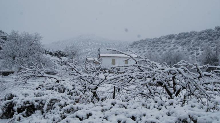 Aviso amarillo hoy por nevadas en Jaén