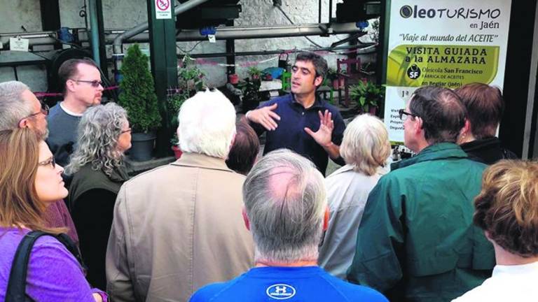 El olivo y el aceite de Jaén finalmente entran en “Andalucía, Paisajes con Sabor” El olivo y el aceite de Jaén finalmente entran en “Andalucía, Paisajes con Sabor”