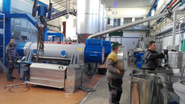 El sector confía en molturar 87 millones de kilos de aceituna El sector confía en molturar 87 millones de kilos de aceituna