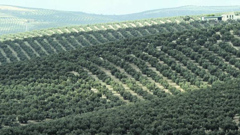 En busca de verdes rarezas