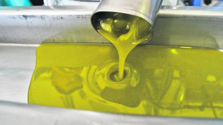 Las embotelladoras italianas se llevan menos aceite de oliva Las embotelladoras italianas se llevan menos aceite de oliva