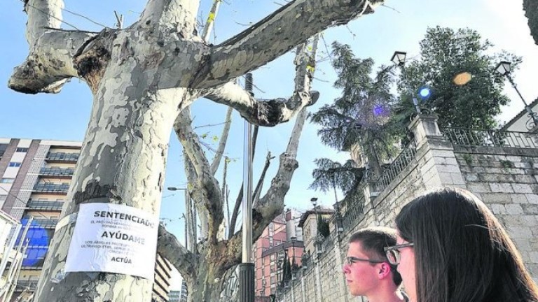 EQUO pide la plantación urgente de 12.000 árboles en la capital jiennense