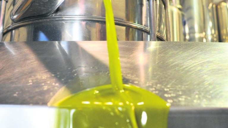 Revisión a la baja de la producción provincial de aceite de oliva