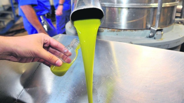 La producción del aceite de oliva supera el aforo
