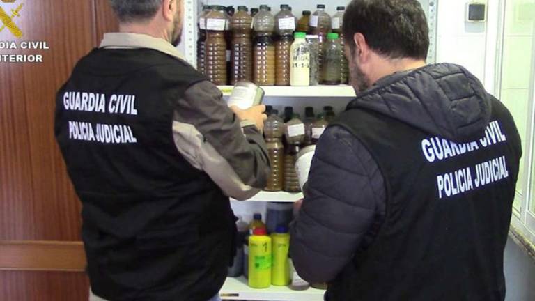 Aceite bajo sospecha de estar adulterado llegó a los mercados Aceite bajo sospecha de estar adulterado llegó a los mercados