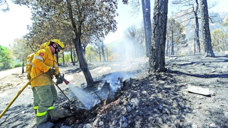 Declaradas de emergencia obras por el incendio de Segura