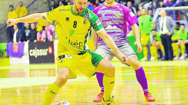 Jordi Campoy renueva por dos temporadas Jordi Campoy renueva por dos temporadas