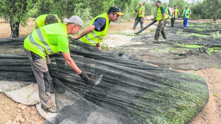 El jornal sube, de media, 70 céntimos