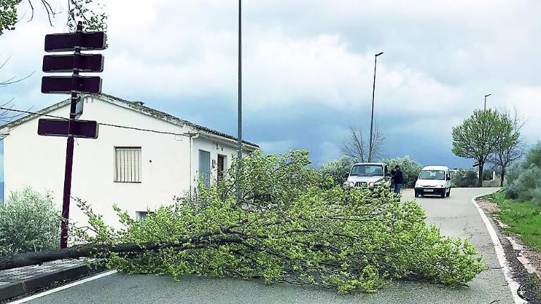 El viento azota con fuerza en Segura