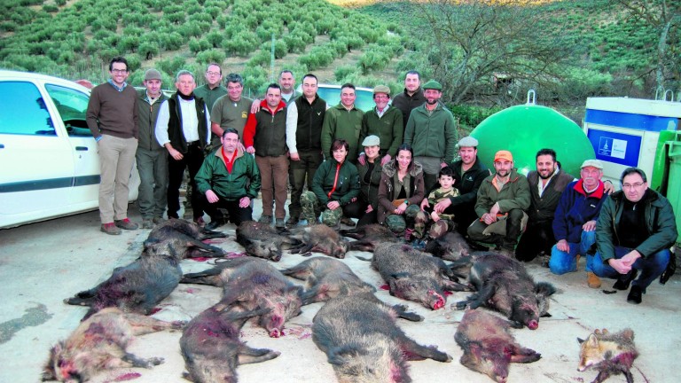 Catorce jabalíes son abatidos en una montería en Valdepeñas de Jaén