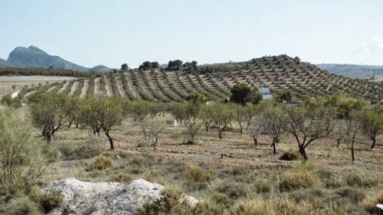 Un trocito de Jaén por tan solo unos cientos de miles de euros