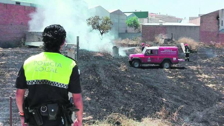 Susto por el pasto en Baeza Susto por el pasto en Baeza