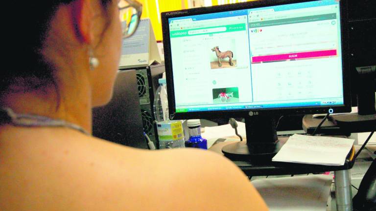 El comercio entre particulares, la “moda” que llega para expandirse El comercio entre particulares, la “moda” que llega para expandirse