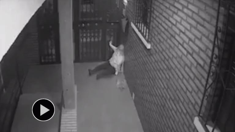 Brutal paliza a una mujer para robarle el bolso Brutal paliza a una mujer para robarle el bolso