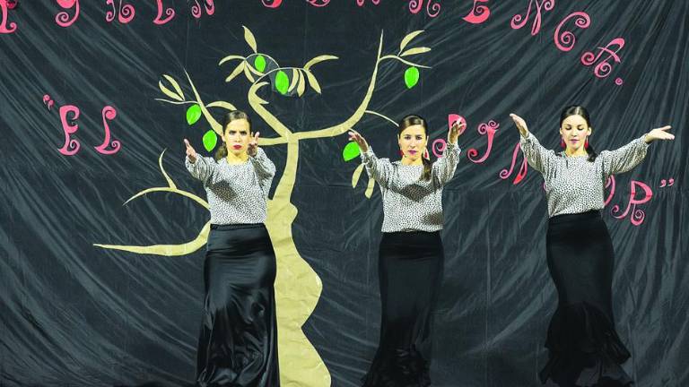 Flamenco en el “Pintor Cristóbal Ruiz” para recaudar fondos Flamenco en el “Pintor Cristóbal Ruiz” para recaudar fondos