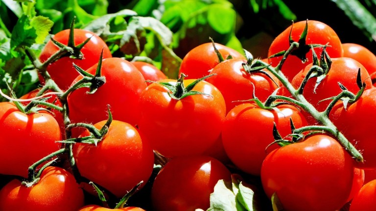 Demuestran que la actividad antitumoral del tomate esta influida por la variedad