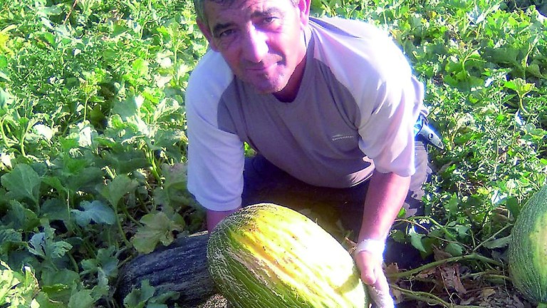Melones con alrededor de diez kilos en el Concurso de Hortalizas