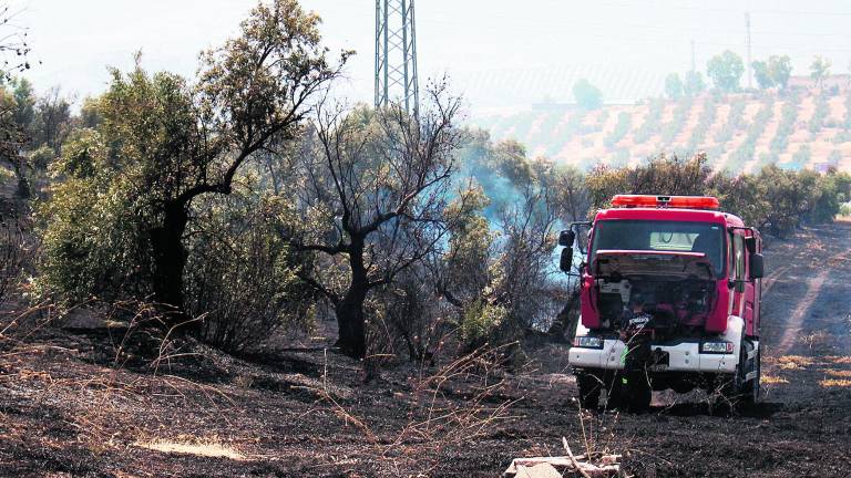 El fuego tiñe de negro un olivar en Jaén El fuego tiñe de negro un olivar en Jaén