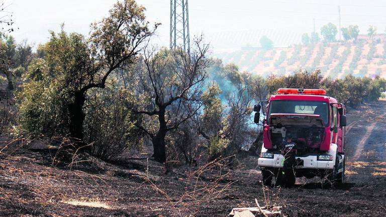 El fuego tiñe de negro un olivar en Jaén