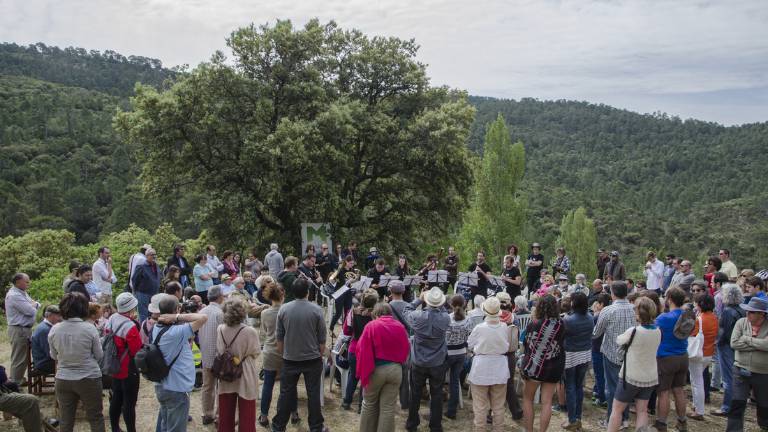 Cuenta atrás para la celebración de Música en Segura Cuenta atrás para la celebración de Música en Segura