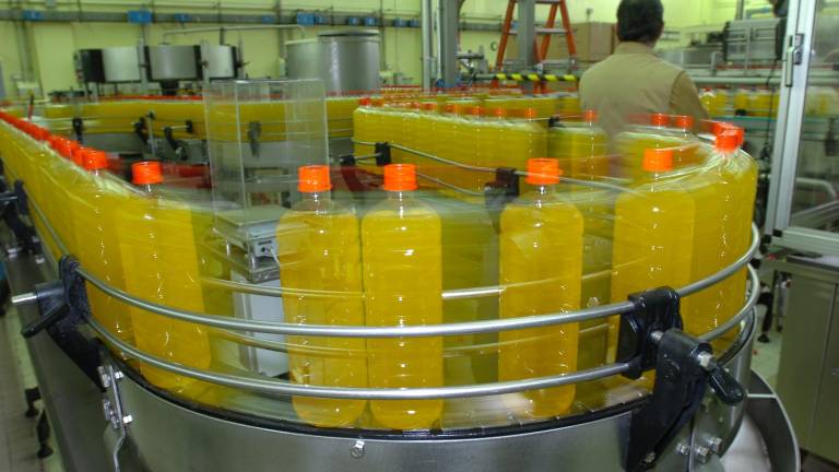Las ventas de aceite de oliva alcanzan un nuevo récord Las ventas de aceite de oliva alcanzan un nuevo récord