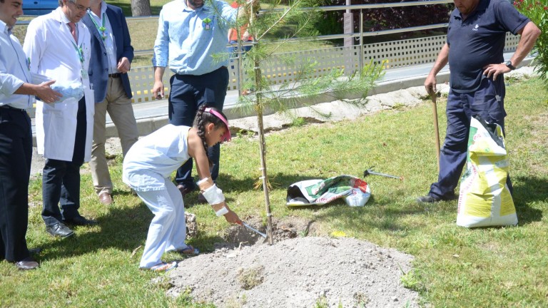Pacientes infantiles plantan seis árboles con motivo del “Día del Medio Ambiente”