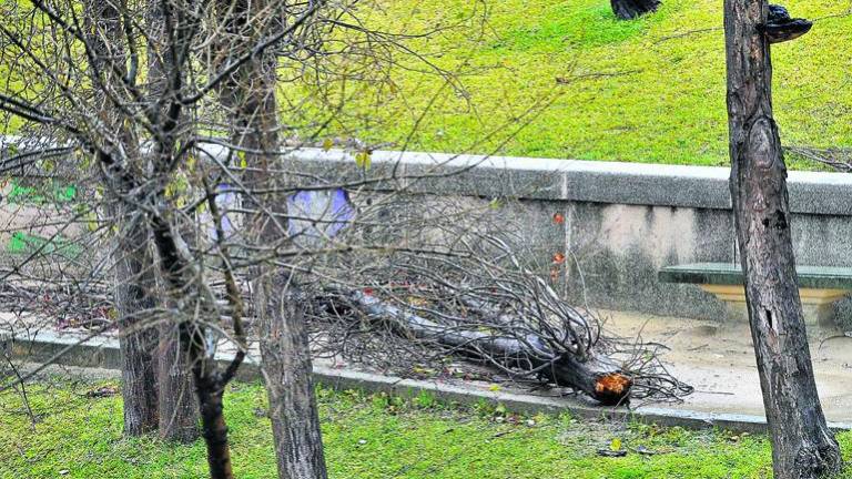 La borrasca “Ana” deja muchos daños y menos agua de la esperada