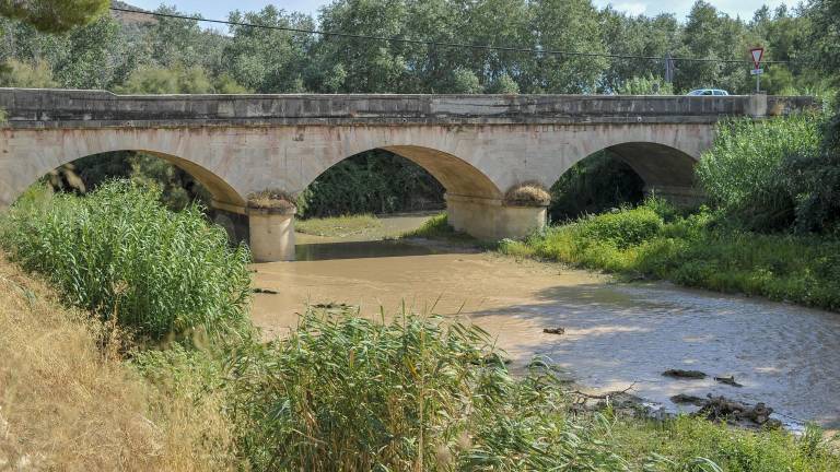 Buena vida en Puente Nuevo