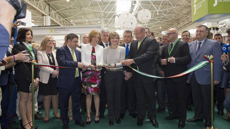 Arranca la edición de Expoliva más internacional Arranca la edición de Expoliva más internacional
