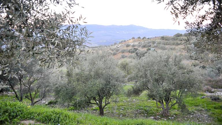 El verde manto de Chaouen