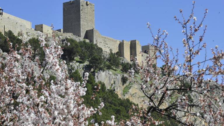 Más de Jaén que el lagarto