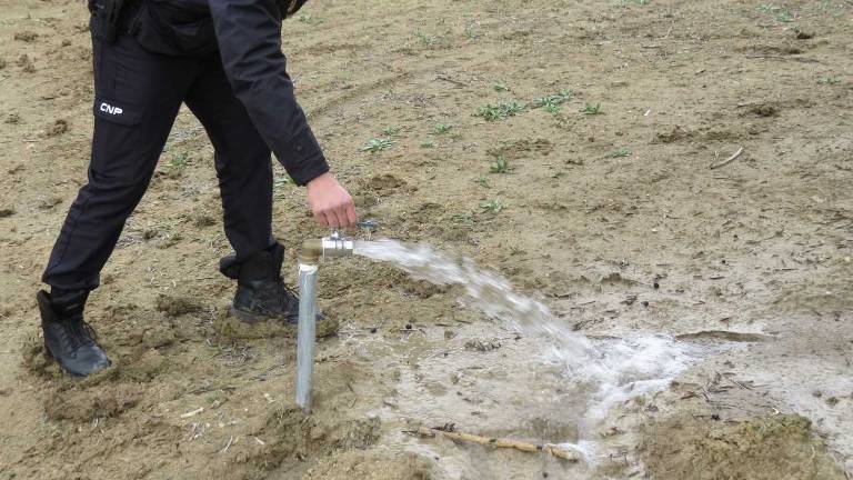 La operación del “Víboras”, abierta La operación del “Víboras”, abierta
