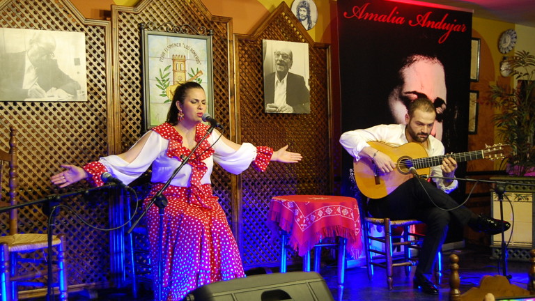 El flamenco regresa a Los Romeros