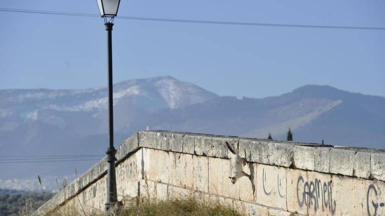 Vuelven los días de apagones intermitentes a Puente Tablas Vuelven los días de apagones intermitentes a Puente Tablas