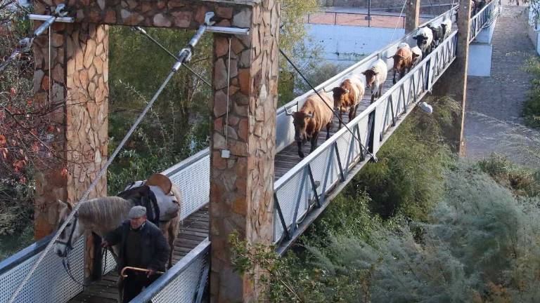 El espectáculo de los últimos trashumantes de Las Villas El espectáculo de los últimos trashumantes de Las Villas