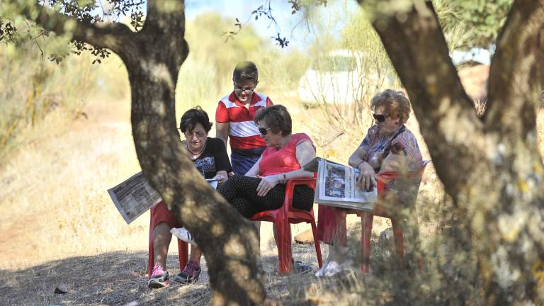 Devoción a una imagen rural Devoción a una imagen rural