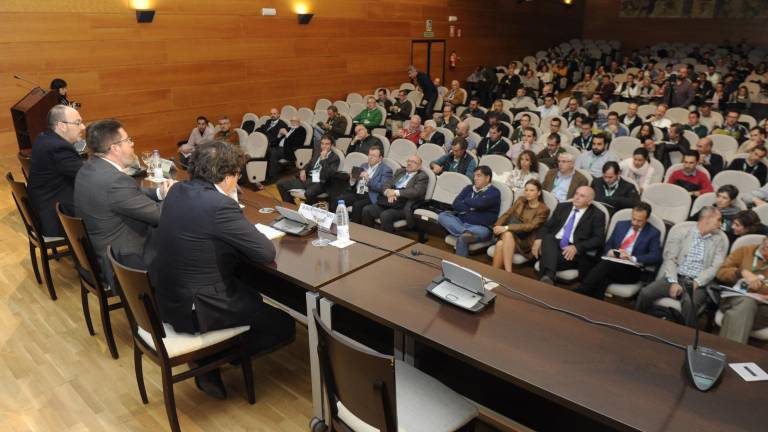Jaén está libre de Xylella tras el análisis de 535 plantas dudosas Jaén está libre de Xylella tras el análisis de 535 plantas dudosas