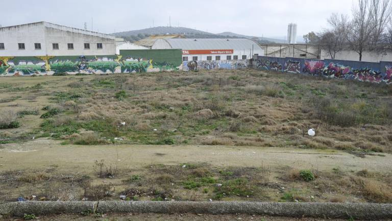 “El Valle” pierde la fe en la puesta en marcha de los huertos urbanos “El Valle” pierde la fe en la puesta en marcha de los huertos urbanos