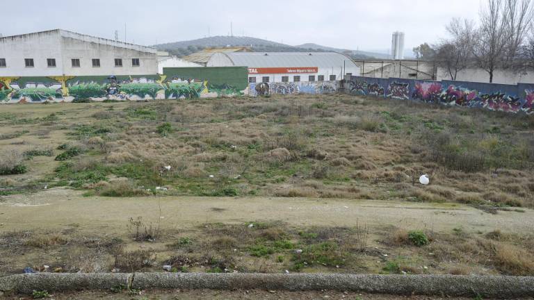 “El Valle” pierde la fe en la puesta en marcha de los huertos urbanos