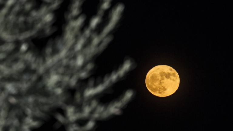 La expectación se desborda para capturar la superluna La expectación se desborda para capturar la superluna