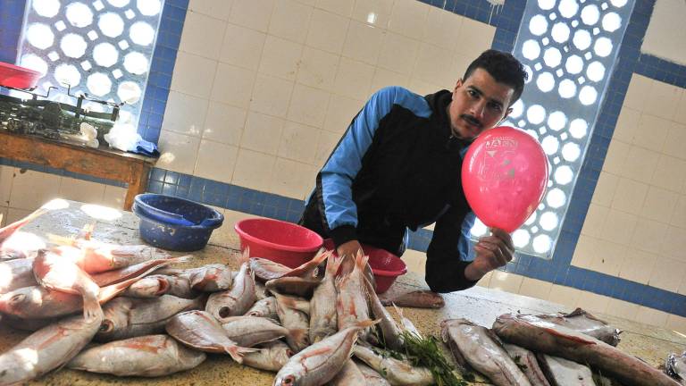 De la huerta hasta los más exquisitos paladares