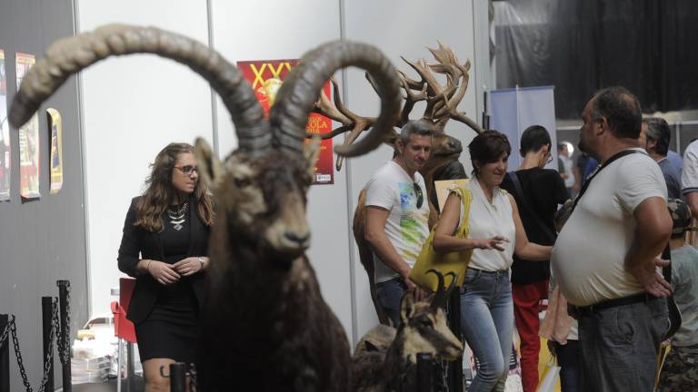 Ibercaza espera superar las 15.700 visitas hasta el próximo domingo Ibercaza espera superar las 15.700 visitas hasta el próximo domingo