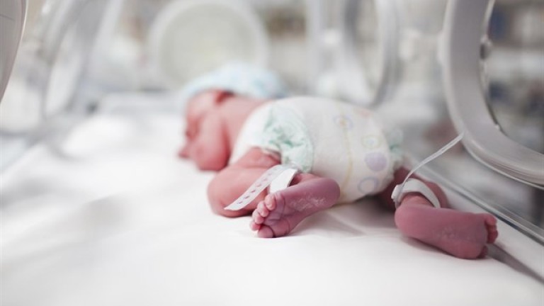 Satse denuncia que una sola enfermera atiende a 11 neonatos